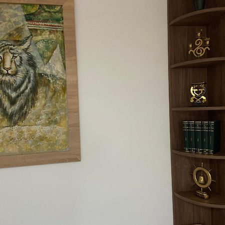 Casa Mountain View Villa Braşov Dış mekan fotoğraf