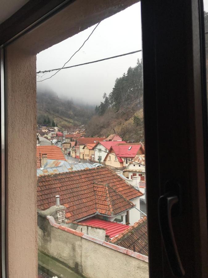 Casa Mountain View Villa Braşov Dış mekan fotoğraf