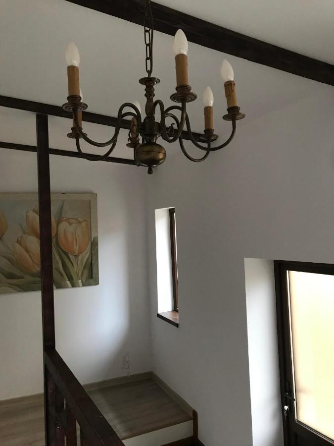 Casa Mountain View Villa Braşov Dış mekan fotoğraf