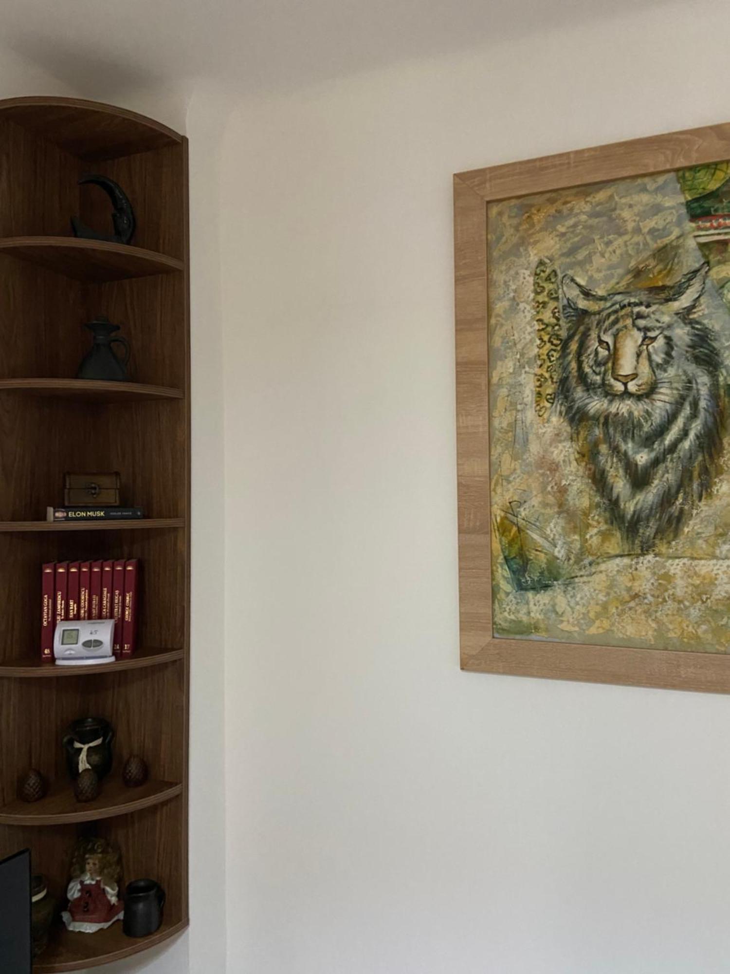 Casa Mountain View Villa Braşov Dış mekan fotoğraf
